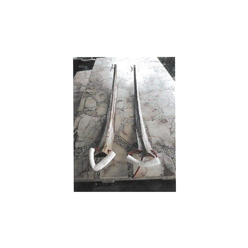 ก้านมะพร้าวยืดเหยียด